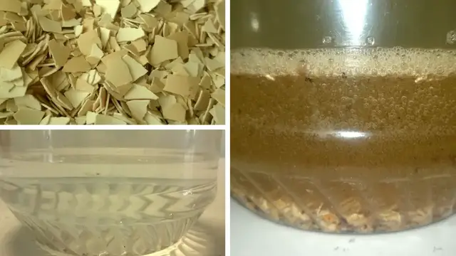 Video thumbnail for How To Make Water-Soluble Calcium (Knf Beginner's Guide)