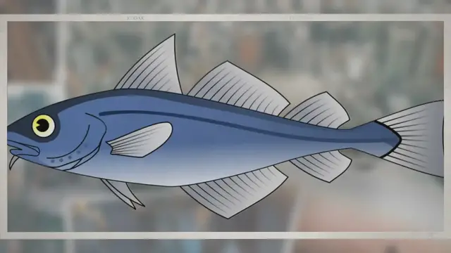 Video thumbnail for Why Am I Craving Seafood?