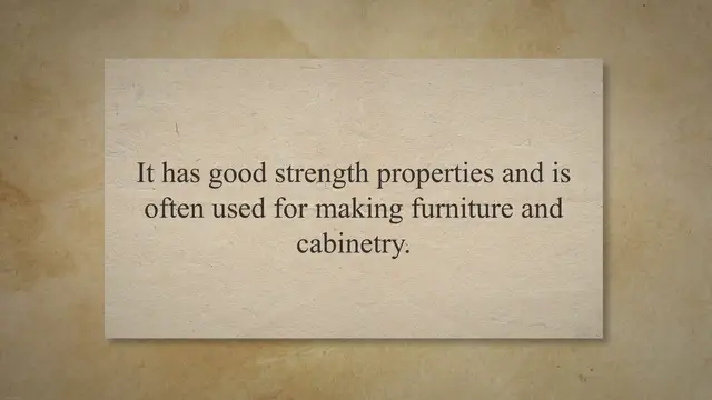 'Video thumbnail for Beech Wood Properties | Its Advantages and Disadvantages'