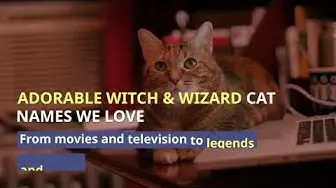 Video thumbnail for 5 PERFECT WITCH AND WIZARD NAMES FOR YOU