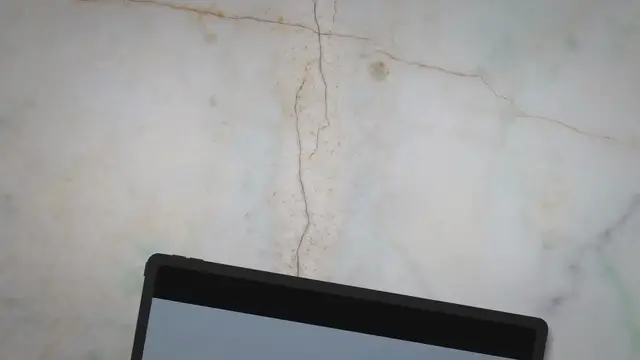 Video thumbnail for 5 Things to Know Before Getting A Dog