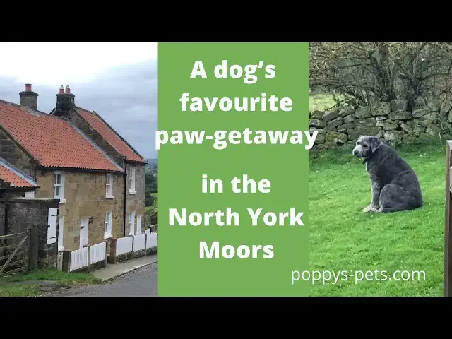 Video thumbnail for Dog-Friendly English Holiday Cottage in Castleton by the North York Moors with Pretty Valley Views