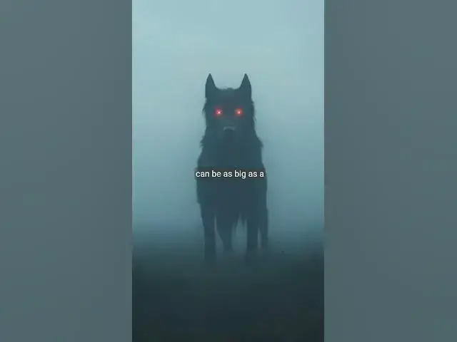 Video thumbnail for Curse of the Night Legend of the Black Dog