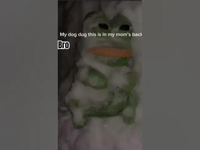 Video thumbnail for Bro my childhood backyard