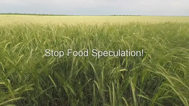'Video thumbnail for Stop Food Speculation!'
