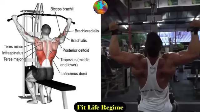 Video thumbnail for Workouts for a Stronger Back and Abs