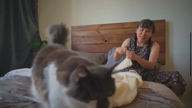 'Video thumbnail for The Friendliest Cat Breeds'