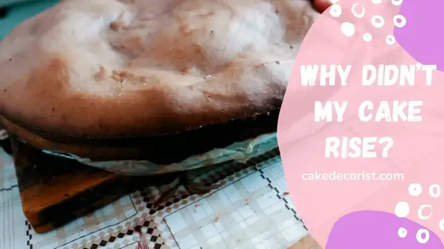 Video thumbnail for Why Didn’t My Cake Rise?