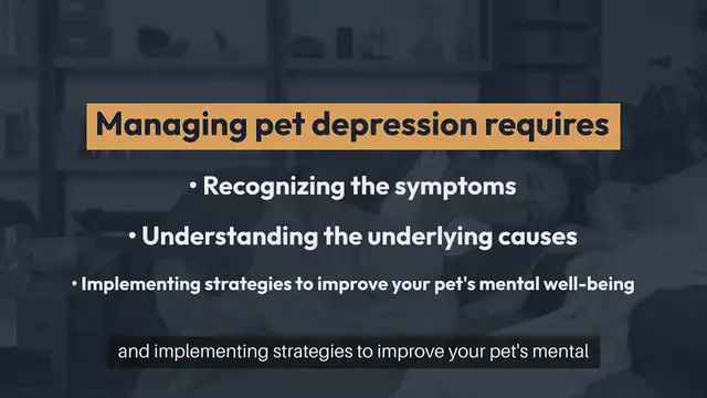 Video thumbnail for Managing Pet Depression