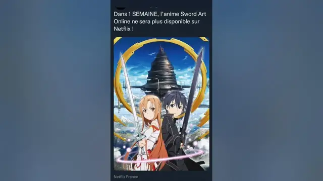 Video thumbnail for Dans 1 SEMAINE, l’anime Sword Art Online ne sera plus disponible sur Netflix !