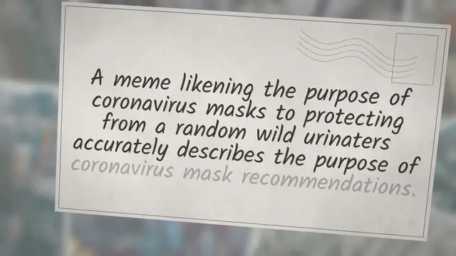 Video thumbnail for ‘Wear Your Mask: The Urine Test’ Analogy Meme