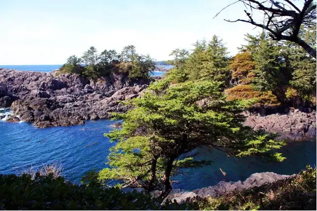Video thumbnail for Wild Pacific Trail in Ucluelet beim Pacific Rim National Park