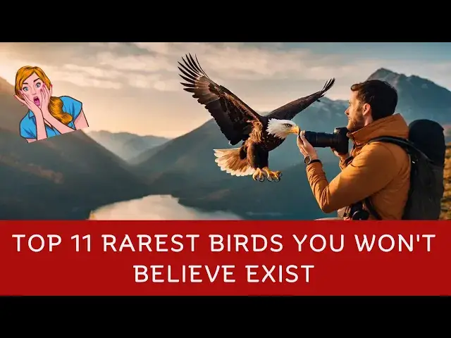 'Video thumbnail for Top 11 Rarest Birds You Won't Believe Exist'