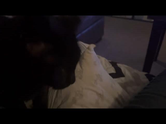 Video thumbnail for ReddFoxx Strikes Out Again! Second Kiss Attempt FAILS