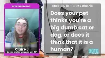 Video thumbnail for Claire's cats know that she's human and they're cats. Very smart!