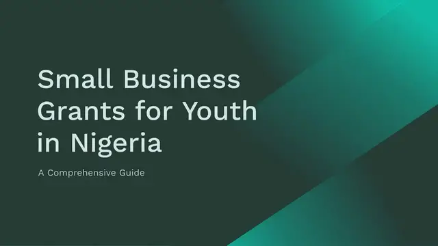 Video thumbnail for Top 7 Small Business Grant For Youth In Nigeria