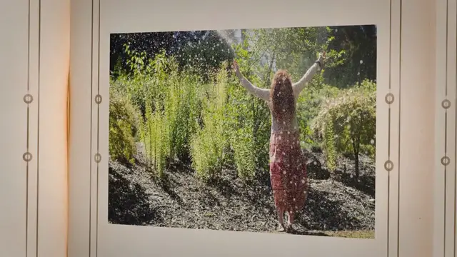 Video thumbnail for Automatische Bewässerung selber bauen – so geht’s