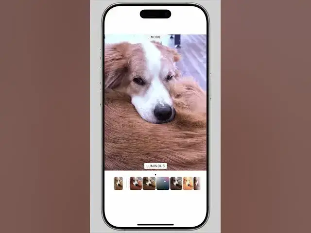 'Video thumbnail for How to Use Photographic Styles on the iPhone'