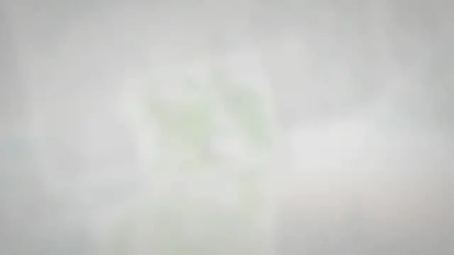 'Video thumbnail for Perché il mio Pahira ha foglie gialle? (Pachira Acquatica)'