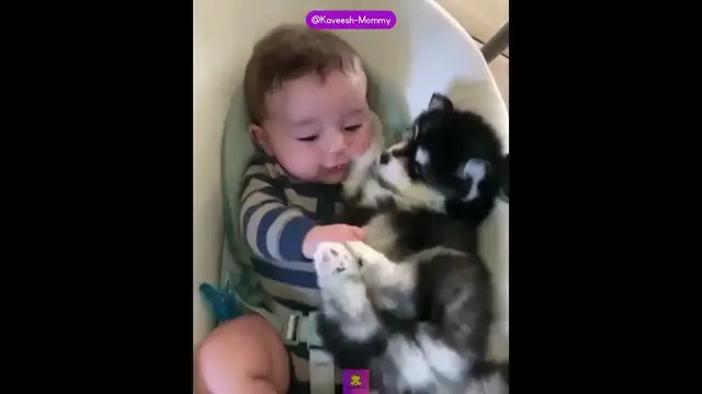 Video thumbnail for Cute funny baby videos memes #shorts #cutebaby #babyvideos #mom 72