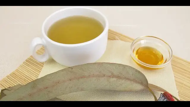 Video thumbnail for Eucalyptus Tea, Superb 5 Benefits of This Beverage