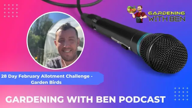 'Video thumbnail for 28 Day February Allotment Challenge Garden Birds and Wildlife Highlights'