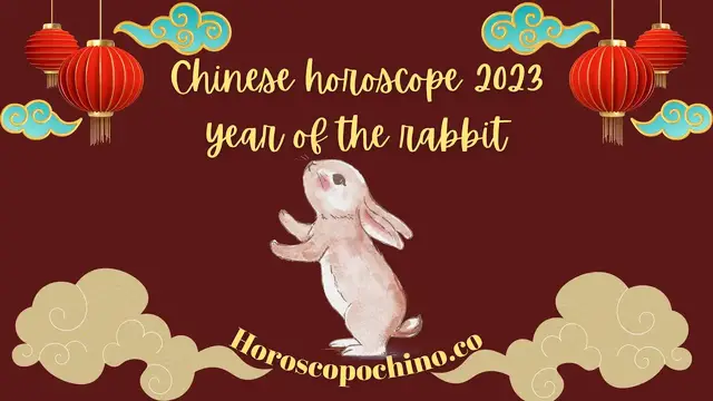 Video thumbnail for Chinese horoscope 2023 black water rabbit video