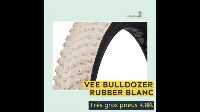 'Video thumbnail for MEILLEURS PNEUS FAT BIKE'