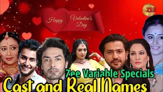 'Video thumbnail for Every Girl's Dream on zeeworld: Casts , Networth & Real Names #tbjjn'
