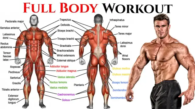 Video thumbnail for The Best Exercises for a Full-Body Workout | The PERFECT Total Body Workout