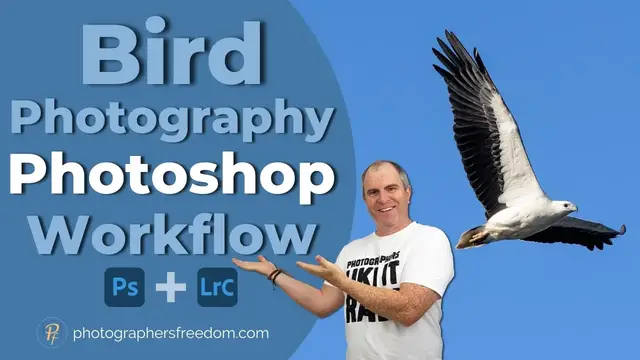 Video thumbnail for Bird Photography Photoshop Workflow - My Secrets Revealed?!