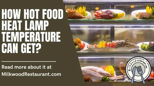 Video thumbnail for How Hot Food Heat Lamp Temperature Can Get? 3 Superb Reasons Behind It
