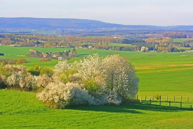 'Video thumbnail for “Wünschelrute” ... Schläft ein Lied in allen Dingen... ein kurzes Wintergedicht'