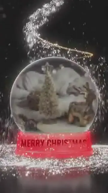 Video thumbnail for Wish you Merry Xmas My love