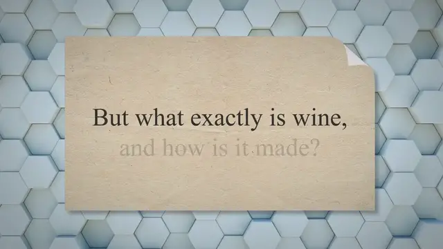 'Video thumbnail for Wine 101: What is Wine?'