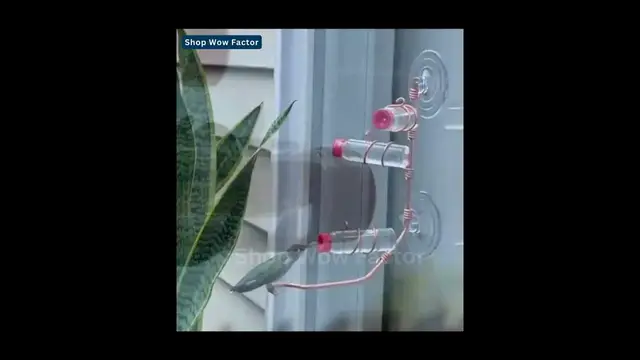 Video thumbnail for 🍯🐦 Attract Hummingbirds to Your Window! 🐦🍯 Geometric Window Hummingbird Feeder || #usa #shopping