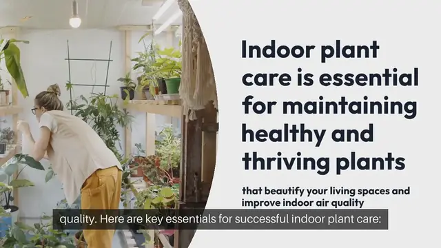 Video thumbnail for Indoor Plant Care 101 Essentials for Success