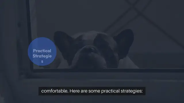 Video thumbnail for Ensuring Pets Dont Disturb Alarms