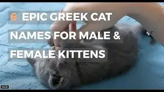Video thumbnail for 6 EPIC GREEK CAT NAMES