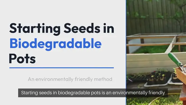 Video thumbnail for Starting Seeds in Biodegradable Pots