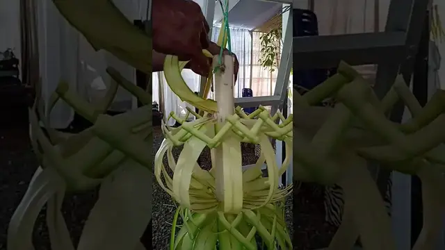 Video thumbnail for Cara Membuat Kerajinan Janur Pernikahan Sederhana By Cadil