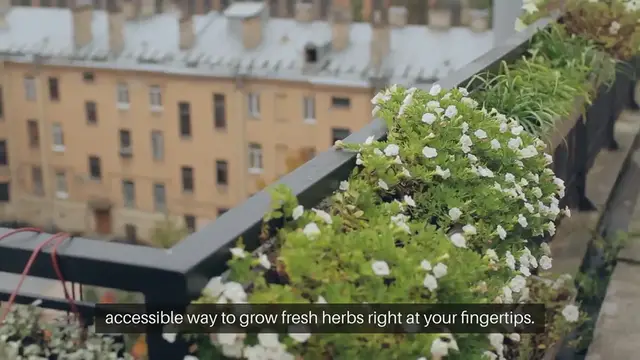 Video thumbnail for Balcony Herb Garden