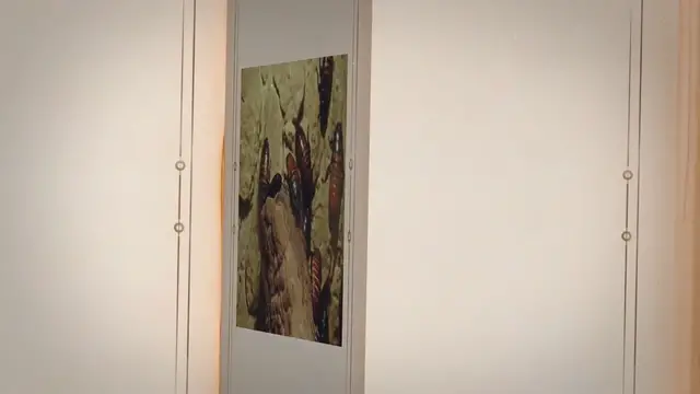 'Video thumbnail for A Guide to Keeping Madagascar Hissing Cockroaches as Pets'