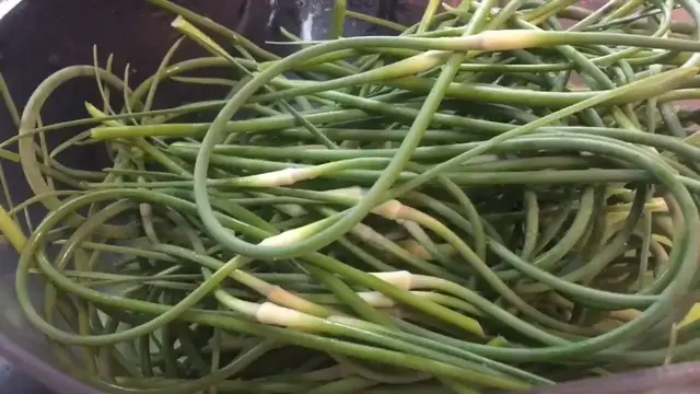 Video thumbnail for How To Use And Preserve Fresh Garlic Scapes