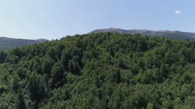 Video thumbnail for Tuesday’s big stock stories: What’s likely to move the market in the next trading session