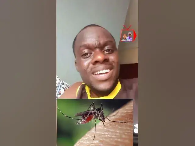 Video thumbnail for Mosquito hotel room #reals #trending #lifestyle #shortsvideo #viral