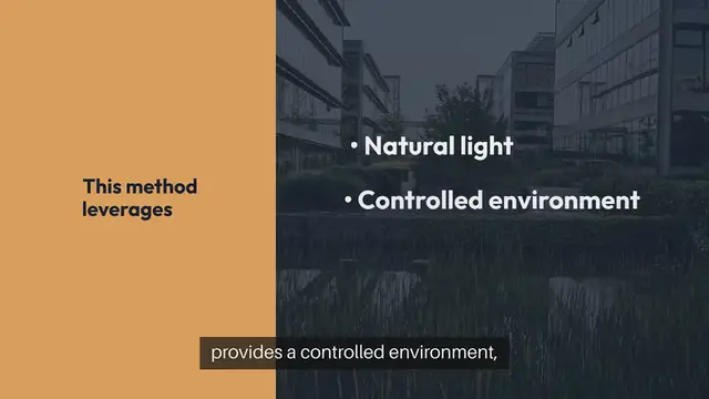 Video thumbnail for Indoor Gardening Window Sill- Gardening