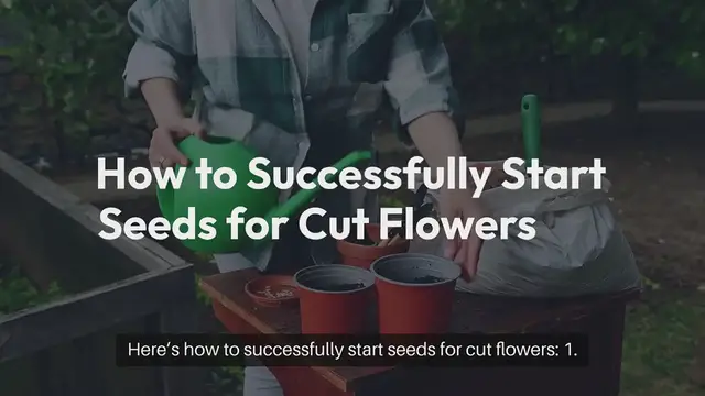Video thumbnail for Seed Starting for Cut Flowers