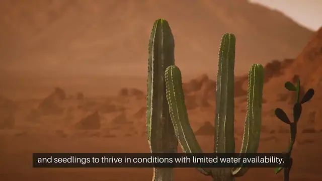 Video thumbnail for Seed Starting for Drought Resistant Plan