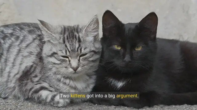 Video thumbnail for Purr-fect Laughs - Hilarious Cat Jokes to Brighten Your Day!